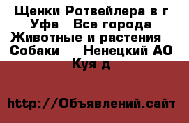 Щенки Ротвейлера в г.Уфа - Все города Животные и растения » Собаки   . Ненецкий АО,Куя д.